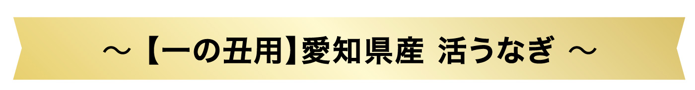 国産うなぎ