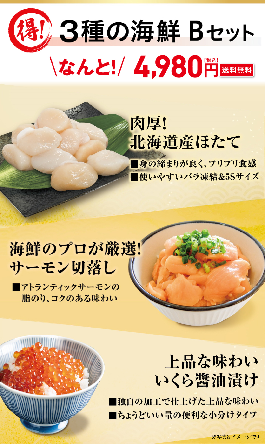 海鮮Bセット