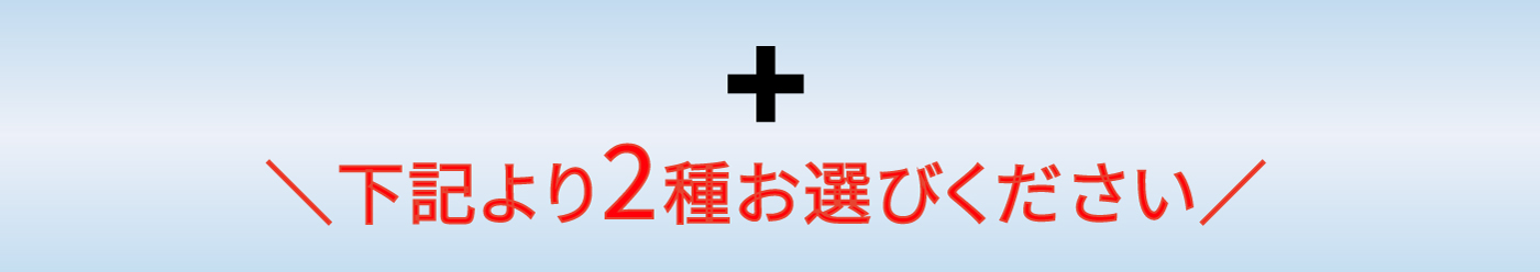 棒寿司選べる4種