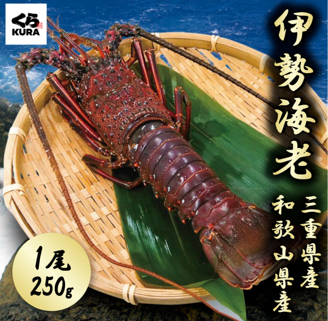 伊勢海老