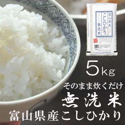 無洗米こしひかり5kg