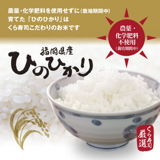 ひのひかり