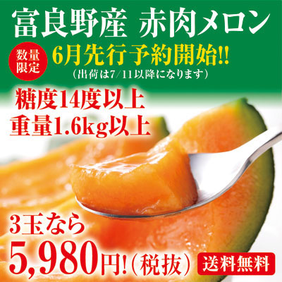 富良野 メロン 400