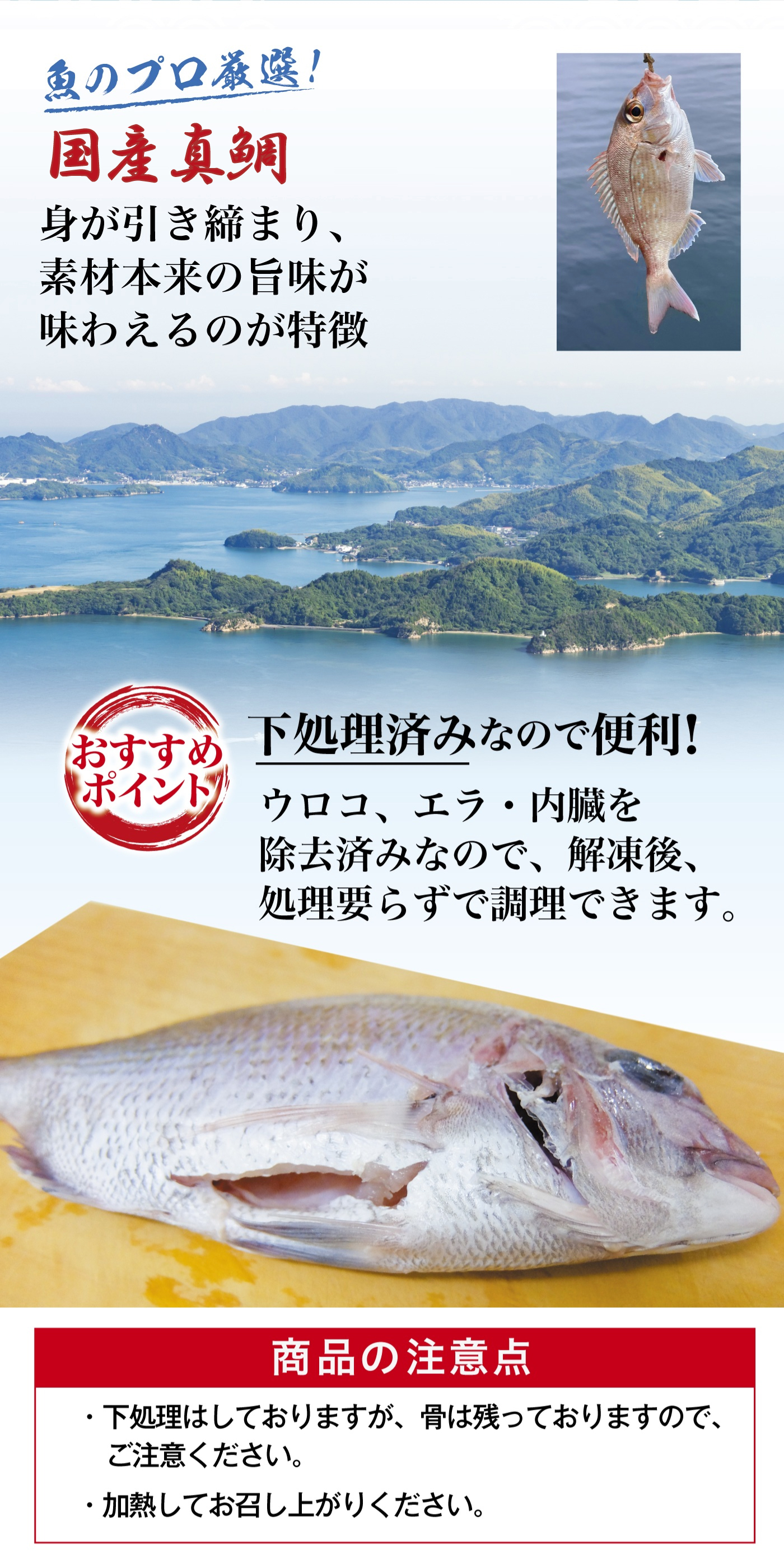 真鯛