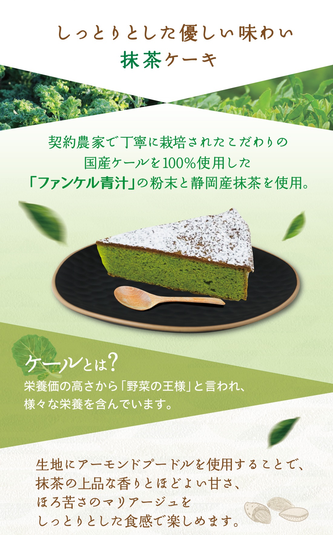 抹茶ケーキ