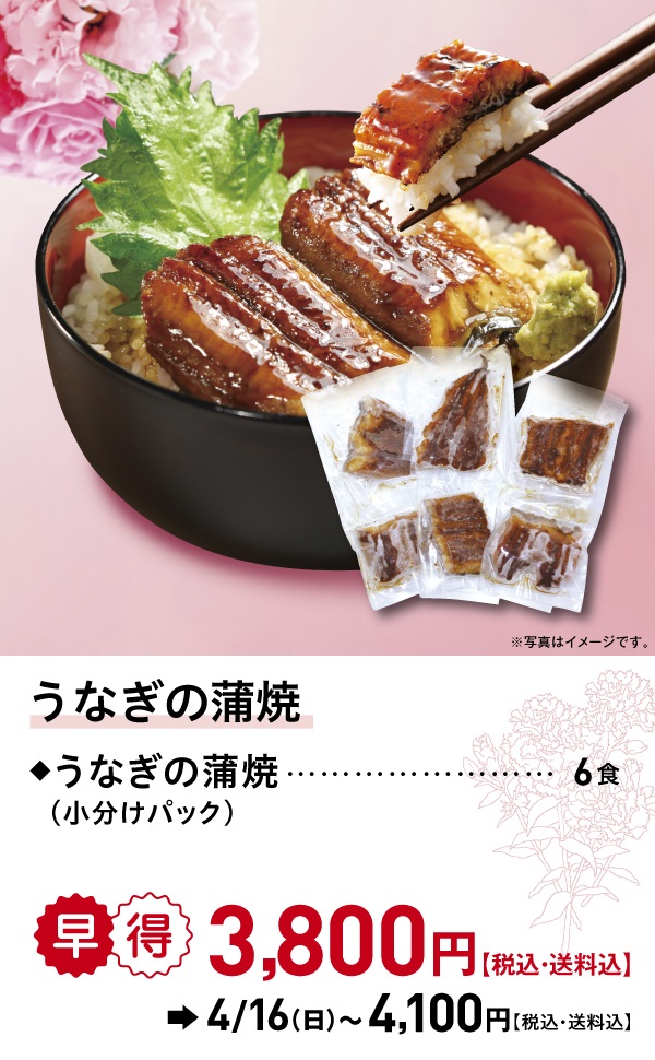 うなぎ蒲焼