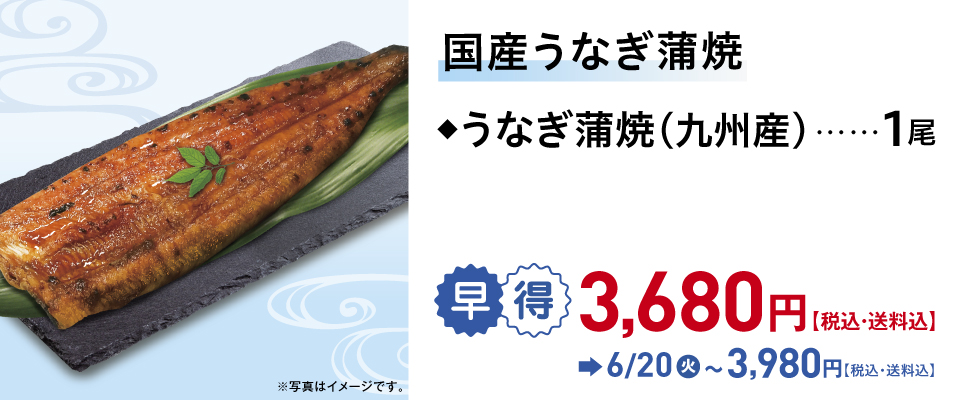 国産うなぎ蒲焼