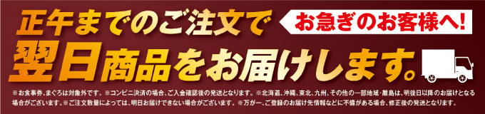 翌日配達